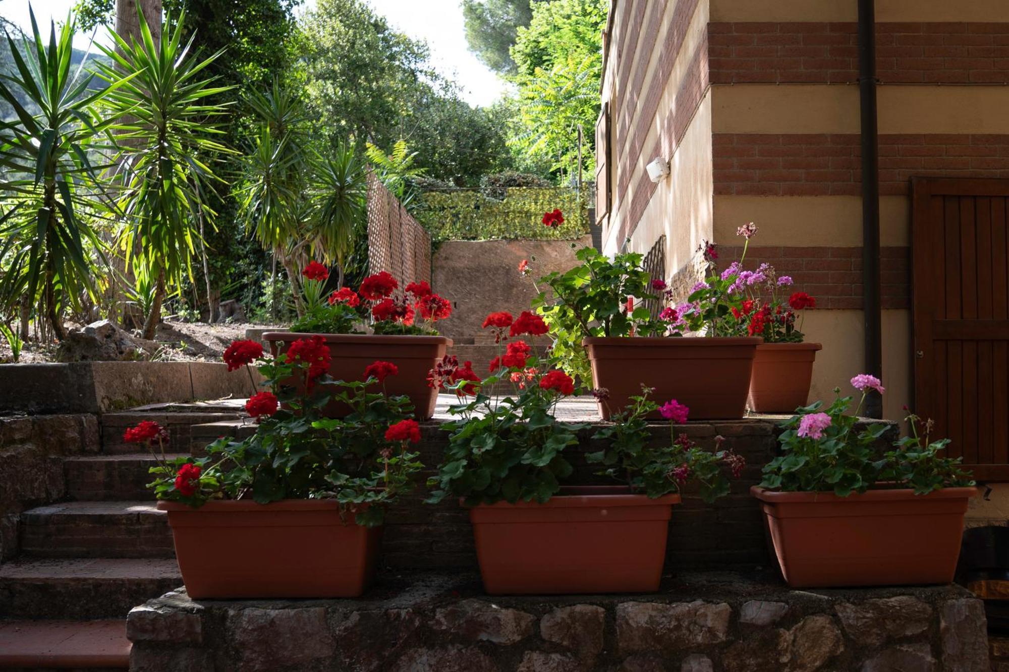 Hotel Park Napoleone Portoferraio