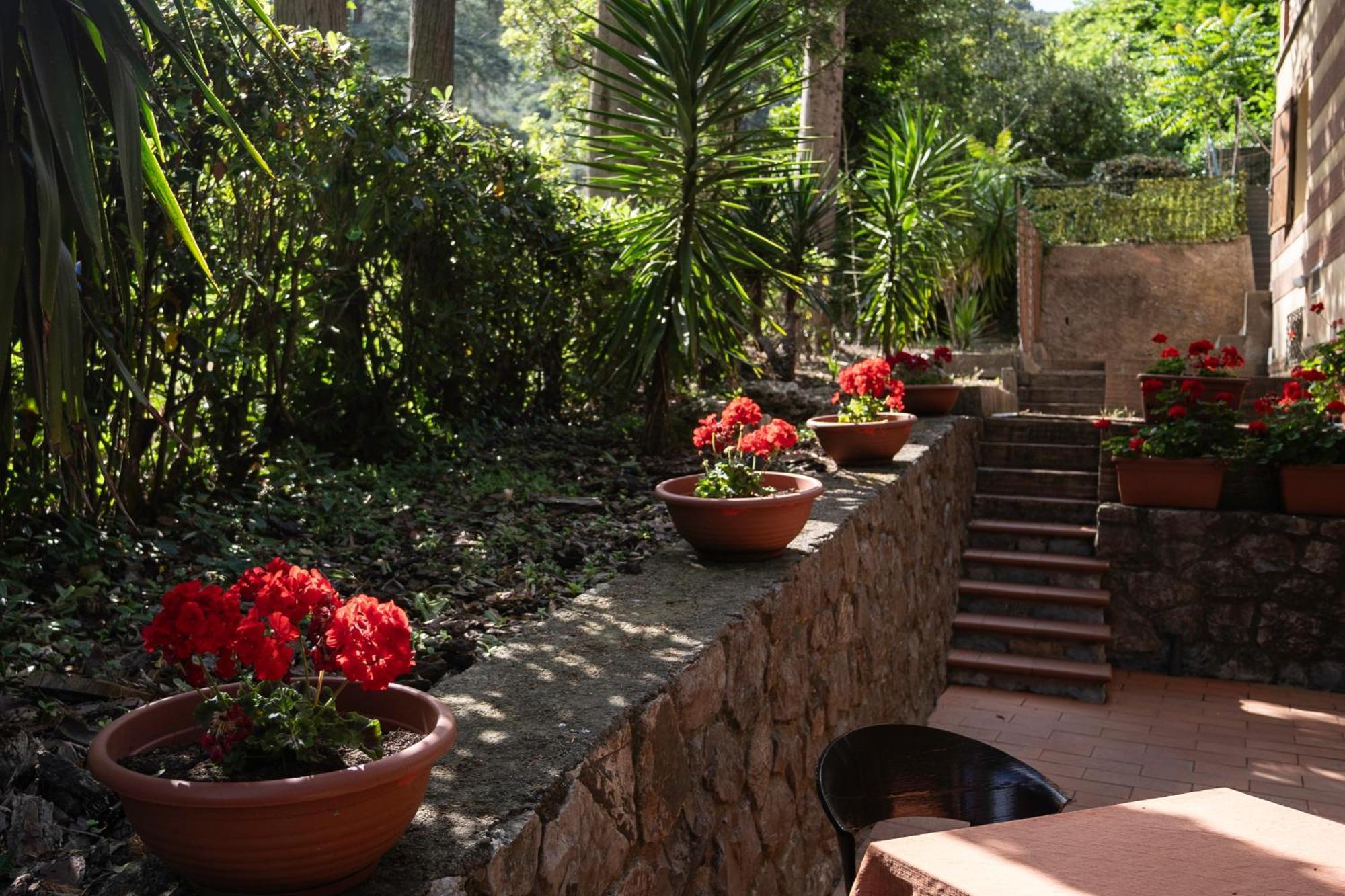 Hotel Park Napoleone 4*